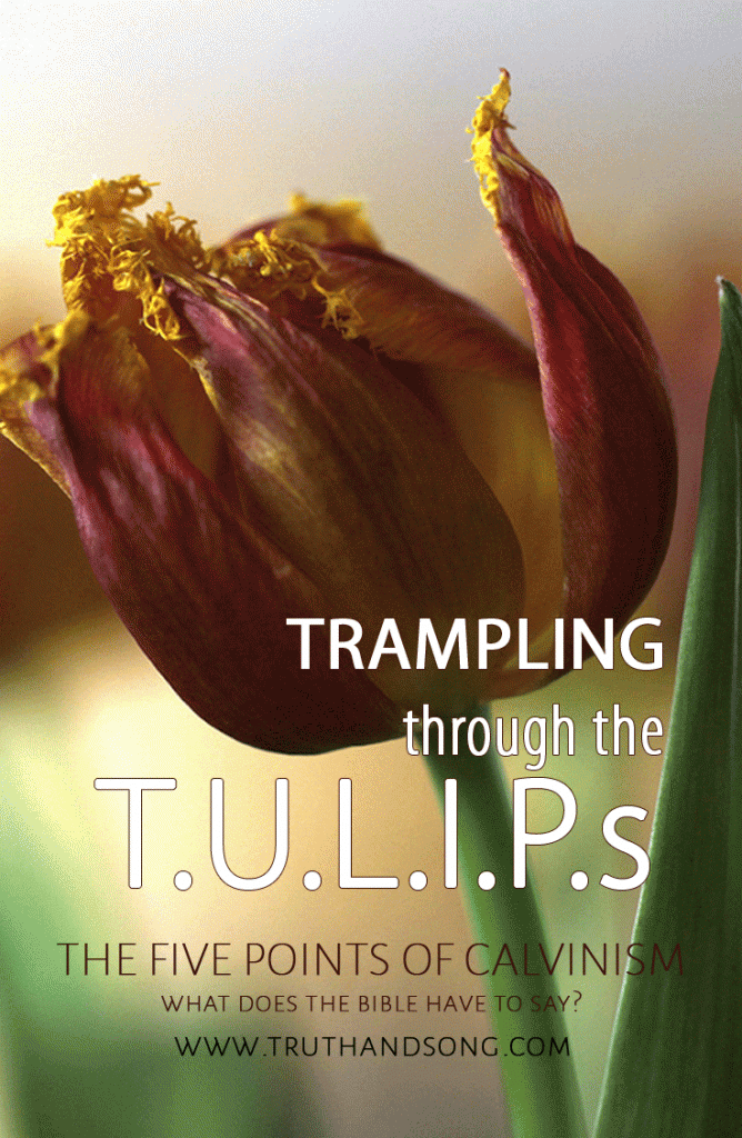 Trampling through the T.U.L.I.P.s